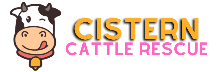 Cistern Cattle Rescue